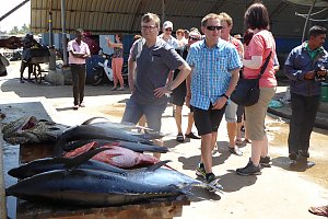 Fischmarkt Negombo