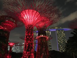 Botanischer Garten hinter dem Hotel Marina Bay Sands