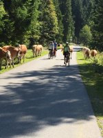 Ahh. daher kommt der Name 