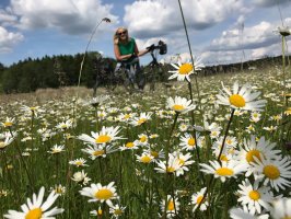 Radlgast im Blumenmeer