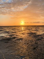 Rückfahrt von der Halligen Südfall. Emotionen! 