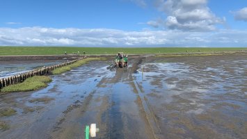 Friesland Reise: Halligenfahrt