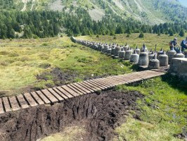 kurz vor der Panzersperre an der Grenze Österreich - Italien