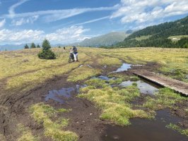 geht schon... immer mitten durch! 